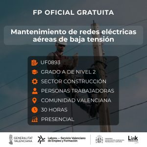 UF0893 - MANTENIMIENTO DE REDES ELÉCTRICAS AÉREAS DE BAJA TENSIÓN