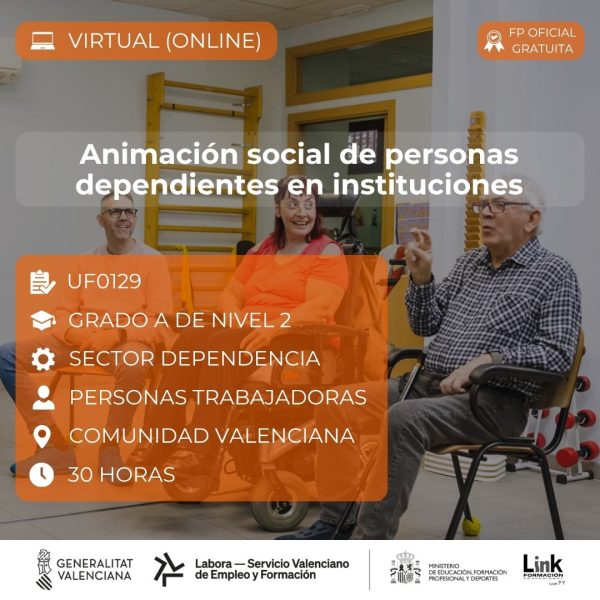 Curso de Animación social de personas dependientes en instituciones para trabajadores - Link Formación