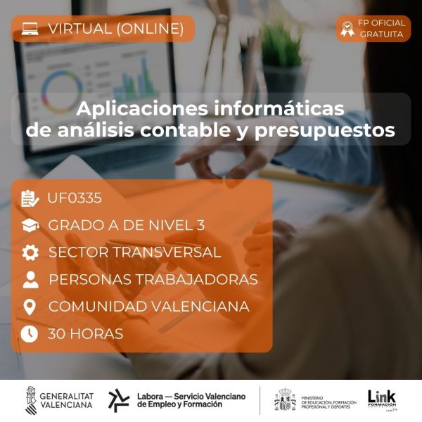 Curso de Aplicaciones informáticas de análisis contable y presupuestos para trabajadores - Link Formación