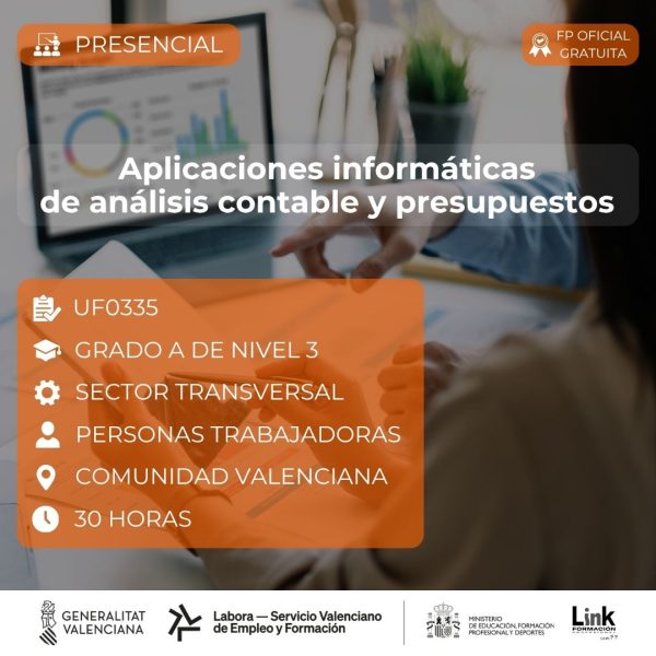 Curso de Aplicaciones informáticas de análisis contable y presupuestos para trabajadores - Link Formación