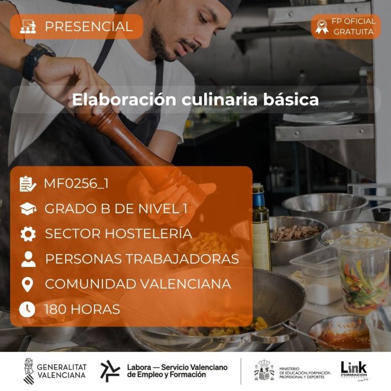Curso de Elaboración culinaria básica para trabajadores - Link Formación