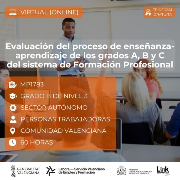 Curso de Evaluación del proceso de enseñanza-aprendizaje de los grados A, B y C del sistema de Formación Profesional para autónomos - Link Formación
