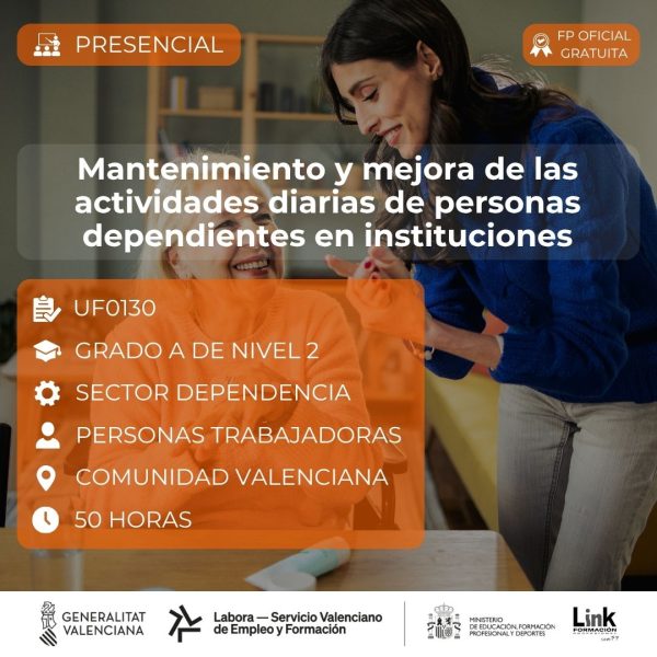 Curso de Mantenimiento y mejora de las actividades diarias de personas dependientes en instituciones para trabajadores - Link Formación