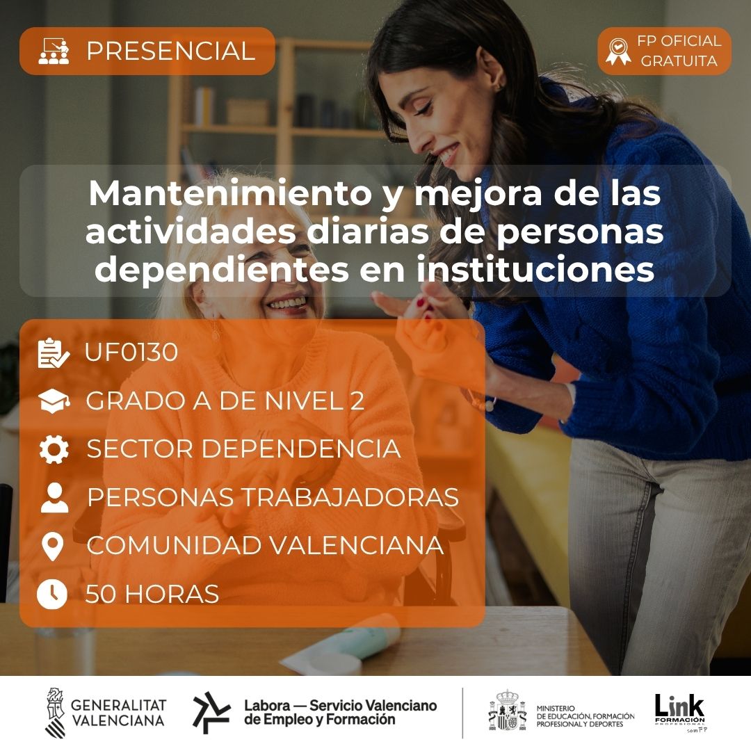 Curso de Mantenimiento y mejora de las actividades diarias de personas dependientes en instituciones para trabajadores - Link Formación
