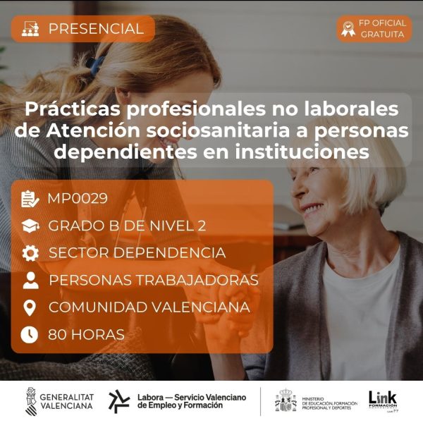 Curso de Atención sociosanitaria a personas dependientes en instituciones para trabajadores - Link Formación
