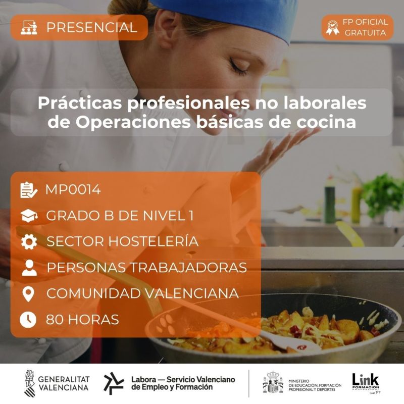 Curso de Operaciones básicas de cocina para trabajadores - Link Formación
