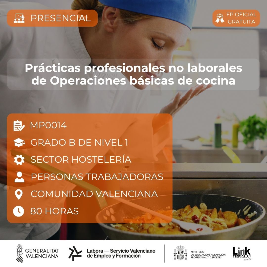 Curso de Operaciones básicas de cocina para trabajadores - Link Formación