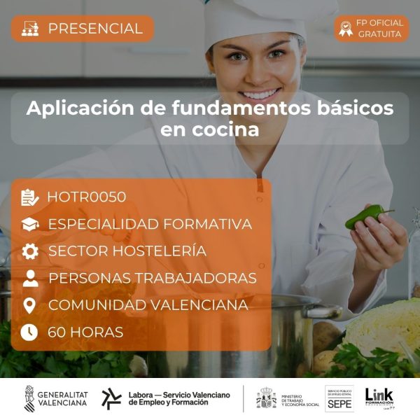 Curso de Aplicación de fundamentos básicos en cocina para trabajadores - Link Formación